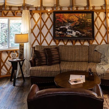 Vila Tranquil Haven Luxy Yurt - Creekside Glamping With Private Hot Tub Topton Exteriér fotografie