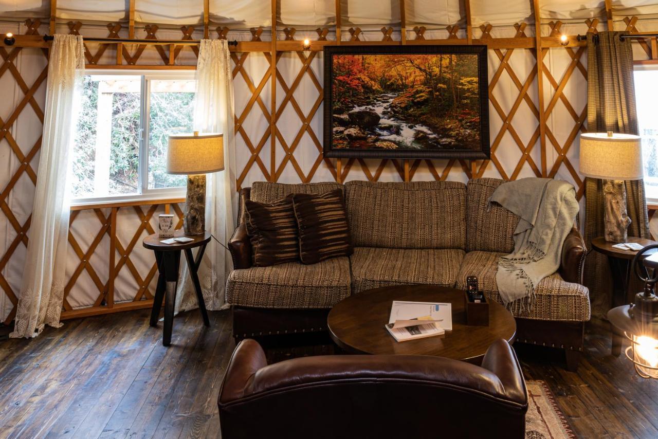 Vila Tranquil Haven Luxy Yurt - Creekside Glamping With Private Hot Tub Topton Exteriér fotografie
